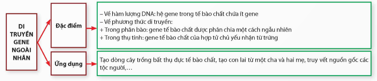 ÔN TẬP CHƯƠNG 1A. KHỞI ĐỘNGGV giao nhiệm vụ học tập; HS vận dụng kiến thức, kĩ năng đã học ở phần Di truyền học để thực hiện nhiệm vụB. HOẠT ĐỘNG HÌNH THÀNH KIẾN THỨC1. Hệ thống kiến thứcVẽ sơ đồ tư duy hệ thống hóa kiến thức chương 1Sản phẩm dự kiến:C. HOẠT ĐỘNG LUYỆN TẬPCâu 1: Hiện tượng nhiều ribosome cùng dịch mã trên một mRNA được gọi làA. DNA.               B. nucleosome.               C. polyribosome.            D. protein.Câu 2: Một đoạn NST của ruồi giấm có trình tự các gene như sau: ABCDE●GHIK (dấu ● là tâm động). Do xảy ra đột biến mất đoạn ABC, trình tự các gene trên NST sau đột biến làA. DE●GHIK.      B. DE●GHABCIK.                  C. E●GHIK.          D. CBADE●GHIK.Câu 3: Một loài thực vật, màu hoa do 2 cặp gene: A, a và B, b phân li độc lập cùng quy định. Kiểu gene có allele trội A và allele trội B quy định hoa đỏ, kiểu gene chỉ có allele trội A quy định hoa hồng, kiểu gene chỉ có allele trội B quy định hoa vàng, kiểu gene aabb quy định hoa trắng. Theo lí thuyết, phép lai nào sau đây tạo ra đời con có 4 loại kiểu hình?A. AaBB × AaBb. B. AaBb × AABb. C. AaBb × aabb.   D. AABB × aabb.Câu 4: Trên một NST thường, khoảng cách giữa hai gene A và B là 34 cM. Theo lí thuyết, tần số hoán vị giữa hai gene này làA. 33%.                B. 17%.                C. 66%.                D. 34%.Câu 5: Màu sắc của hoa loa kèn do gene nằm trong tế bào chất quy định, trong đó hoa vàng trội so với hoa xanh. Lấy hạt phấn của hoa vàng thụ phân cho cây hoa xanh thu được F1. Cho F1 tự thụ phấn thì tỉ lệ kiểu hình ở đời F2 làA. Trên mỗi cây đều có cả hoa vàng và xanh.B. 75% vàng : 25% xanh.C. 100% hoa vàng.D. 100% hoa xanh.Đáp án gợi ý:Câu 1Câu 2Câu 3Câu 4Câu 5CACDDD. HOẠT ĐỘNG VẬN DỤNG