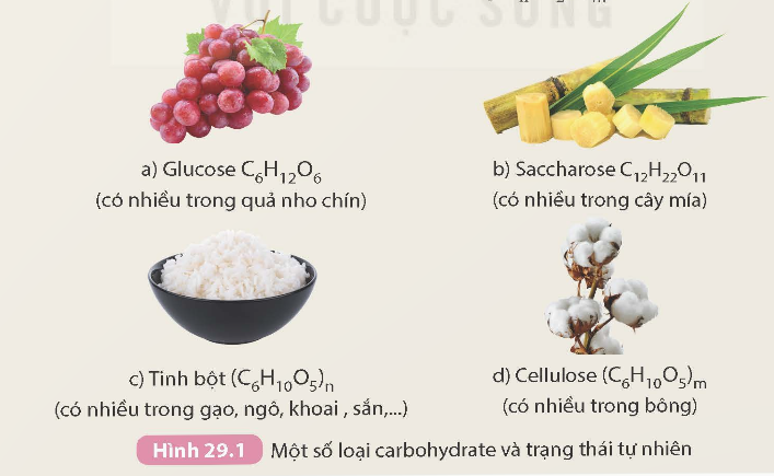 I. GIÁO ÁN WORD KÌ 2 HÓA HỌC 9 KẾT NỐI TRI THỨCGiáo án KHTN 9 kết nối bài 25: Nguồn nhiên liệuGiáo án KHTN 9 kết nối bài 26: Ethylic alcoholGiáo án KHTN 9 kết nối bài 27: Acetic acidGiáo án KHTN 9 kết nối bài 28: LipidGiáo án KHTN 9 kết nối bài 29: Carbohydrate. Glucose và saccharoseGiáo án KHTN 9 kết nối bài 30: Tinh bột và celluloseGiáo án KHTN 9 kết nối bài 31: ProteinGiáo án KHTN 9 kết nối bài 32: PolymerGiáo án KHTN 9 kết nối bài 33: Sơ lược về hoá học vỏ Trái Đất và khai thác tài nguyên từ vỏ Trái ĐấtGiáo án KHTN 9 kết nối bài 34: Khai thác đá vôi. Công nghiệp silicateGiáo án KHTN 9 kết nối bài 35: Khai thác nhiên liệu hoá thạch. Nguồn carbon. Chu trình carbon và sự ấm lên toàn cầuNgày soạn:…/…/…Ngày dạy:…/…/…BÀI 29. CARBOHYDRATE GLUCOSE VÀ SACCHAROSEI. MỤC TIÊU1. Về kiến thứcSau bài học này, HS sẽ:Nêu được thành phần nguyên tố, công thức chung của carbohydrate.Nêu được công thức phân tử, trạng thái tự nhiên, tính chất vật lí (trạng thái, màu sắc, mùi, vị, tính tan, khối lượng riêng) của glucose và saccharose.Trình bày được tính chất hóa học của glucose (phản ứng tráng bạc, phản ứng lên men rượu), của saccharose (phản ứng thủy phân có xúc tác acid hoặc enzyme). Viết được các phương trình hóa học xảy ra dưới dạng công thức phân tử.Tiến hành được thí nghiệm (hoặc quan sát thí nghiệm) phản ứng tráng bạc của glucose.Trình bày được vai trò và ứng dụng của glucose (chất dinh dưỡng quan trọng của người và động vật) và của saccharose (nguyên liệu quan trọng trong công nghiệp thực phẩm). Ý thức được tầm quan trọng của việc sử dụng hợp lí saccharose. Nhận biết được các loại thực phẩm giàu saccharose và hoa quả giàu glucose.2. Năng lựcNăng lực chung: Năng lực giao tiếp và hợp tác: Chủ động giao tiếp trong nhóm, trình bày rõ ý tưởng cá nhân và hỗ trợ nhau hoàn thành nhiệm vụ chung, tự tin và biết kiểm soát cảm xúc, thái độ khi nói trước nhiều người.Năng lực giải quyết vấn đề và sáng tạo: Thu thập và làm rõ thông tin có liên quan đến vấn đề; phân tích để xây dựng được các ý tưởng phù hợp.Năng lực đặc thù: Năng lực vận dụng kiến thức, kĩ năng đã học: Nhận ra, giải thích được vấn đề thực tiễn dựa trên kiến thức khoa học tự nhiên.Năng lực tìm hiểu tự nhiên: Sử dụng được ngôn ngữ, hình vẽ, sơ đồ, biểu bảng để biểu đạt quá trình tìm hiểu vấn đề và kết quả tìm kiếm.Viết được báo cáo sau quá trình tìm hiểu.Năng lực nhận thức khoa học tự nhiên: Nêu được thành phần nguyên tố, công thức chung của carbohydrate.Nêu được công thức phân tử, trạng thái tự nhiên, tính chất vật lí (trạng thái, màu sắc, mùi, vị, tính tan, khối lượng riêng) của glucose và saccharose.Trình bày được tính chất hóa học của glucose (phản ứng tráng bạc, phản ứng lên men rượu), của saccharose (phản ứng thủy phân có xúc tác acid hoặc enzyme). Viết được các phương trình hóa học xảy ra dưới dạng công thức phân tử.Tiến hành được thí nghiệm (hoặc quan sát thí nghiệm) phản ứng tráng bạc của glucose.Trình bày được vai trò và ứng dụng của glucose (chất dinh dưỡng quan trọng của người và động vật) và của saccharose (nguyên liệu quan trọng trong công nghiệp thực phẩm). Ý thức được tầm quan trọng của việc sử dụng hợp lí saccharose. Nhận biết được các loại thực phẩm giàu saccharose và hoa quả giàu glucose.3. Phẩm chấtTham gia tích cực hoạt động nhóm phù hợp với khả năng của bản thân.Cẩn trọng, trung thực và thực hiện các yêu cầu trong bài học.II. THIẾT BỊ DẠY HỌC VÀ HỌC LIỆU1. Đối với giáo viênTài liệu: SGK, SGV Khoa học Tự nhiên 9, hình ảnh, mẫu vật một số loại carbohydrate có trong chương trình; video thí nghiệm tráng gương của glucose. Thiết bị dạy học: Máy tính, máy chiếu.2. Đối với học sinhTài liệu: SGK Khoa học Tự nhiên 9 Tranh ảnh, tư liệu sưu tầm liên quan đến bài học theo yêu cầu của GV.III. TIẾN TRÌNH DẠY HỌCA. HOẠT ĐỘNG KHỞI ĐỘNGa. Mục tiêu: HS có hứng thú học tập, nhu cầu tìm hiểu; dùng những kiến thức, kĩ năng cần thiết để thực hiện yêu cầu, khám phá kiến thức mới. b. Nội dung: Quan sát hình ảnh GV cung cấp và thực hiện yêu cầu theo hướng dẫn của GV. c. Sản phẩm: Câu trả lời của HS về một số loại thức ăn chứa carbohydrate.d. Tổ chức thực hiệnBước 1: GV chuyển giao nhiệm vụ học tập- GV nêu câu hỏi vào bài: Em có biết thức ăn nào chứa carbohydrate không? Đó là chất vô cơ hay hữu cơ?- GV cho HS quan sát hình ảnh một số loại thức ăn có chứa carbohydrate.- GV yêu cầu HS vận dụng kiến thức thực tế, trả lời câu hỏi: Em biết gì về hiện tượng hạ đường huyết? Biểu hiện, nguyên nhân, cách phòng tránh và xử trí khi bị hạ đường huyết là gì?Bước 2: HS tiếp nhận, thực hiện nhiệm vụ học tập- HS làm việc cá nhân, quan sát hình và suy nghĩ trả lời câu hỏi của GV. - GV hướng dẫn, hỗ trợ HS (nếu cần thiết). Bước 3: Báo cáo kết quả hoạt động, thảo luận- GV mời 2 – 3 HS trả lời câu hỏi: + Một số loại thức ăn chứa carbohydrate là gạo, táo, cam, khoai lang,…. Carbohydrate là hợp chất hữu cơ.+ Một số thông tin về hạ đường huyết:Hạ đường huyết là tình trạng lượng đường trong máu quá thấp.Nguyên nhân: không ăn đủ lượng đường bột cần thiết, chế độ ăn kiêng không hợp lí,…Triệu chứng: run rẩy, chóng mặt, đau đầu; thường đổ mồ hôi và cảm thấy đói,…Cách phòng tránh: ăn uống điều độ, nên kiểm tra lượng đường huyết dựa trên lịch mà bác sĩ yêu cầu,…Cách xử trí: ăn các bữa ăn nhẹ ngay khi lượng đường quá thấp hoặc khi gặp các triệu chứng của bệnh.- Các HS khác lắng nghe để nhận xét câu trả lời của bạn mình.- GV khuyến khích HS có thể có nhiều ý kiến khác nhau trong quá trình thực hiện bài tập. Bước 4: Đánh giá kết quả thực hiện nhiệm vụ học tập- GV nhận xét, dẫn dắt HS vào bài học: Một số chất tạo vị ngọt trong bánh kẹo, nước uống, lương thực như gạo, ngô, khoai, sắn và các chất tạo bộ khung cứng cho cây trồng đều thuộc loại hợp chất carbohydrate. Vậy giữa các chất này có đặc điểm gì giống và khác nhau? Chúng có mối liên hệ gì giữa cấu tạo và tính chất? Vai trò của carbohydrate trong cơ thể và trong ngành công nghiệp thực phẩm là gì? Chúng ta cùng tìm hiểu bài học hôm nay để biết câu trả lời nhé - Bài 29 – Carbohydrate. Glucose và saccharose.B. HOẠT ĐỘNG HÌNH THÀNH KIẾN THỨCHoạt động 1. Khái niệm carbohydratea. Mục tiêu: HS xác định được thành phần nguyên tố, công thức chung của carbohydrate, từ đó xây dựng khái niệm carbohydrate.b. Nội dung: HS quan sát hình, đọc các thông tin trong SGK trang 131-132 và thực hiện yêu cầu ở mục hoạt động.c. Sản phẩm: HS chỉ ra được thành phần nguyên tố, công thức phân tử và nêu được khái niệm carbohydrate.d. Tổ chức hoạt động:HOẠT ĐỘNG CỦA GV - HSDỰ KIẾN SẢN PHẨMBước 1: GV chuyển giao nhiệm vụ học tập- GV yêu cầu HS quan sát hình 29.1.- GV yêu cầu HS làm việc cá nhân, suy nghĩ, trả lời câu hỏi: Carbohydrate được tạo thành từ những nguyên tố nào?- GV nêu câu hỏi mở rộng: Viết lại công thức phân tử của mỗi chất dưới dạng Cn(H2O)m.- GV lưu ý: Công thức chung Cn(H2O)m có thể là dạng công thức của một số hợp chất không thuộc loại carbohydrate (ví dụ: acetic acid cũng có thể viết C2(H2O)2), và ngược lại cũng có carbohydrate không có công thức chung này (ví dụ: 2-deoxyribose, C5H10O4, các loại carbohydrate chứa nitrogen như glucosamine và chitin).Bước 2: HS tiếp nhận, thực hiện nhiệm vụ học tập-  HS quan sát hình, đọc thông tin trong SGK để trả lời câu hỏi.- GV hướng dẫn, hỗ trợ HS (nếu cần thiết).Bước 3: Báo cáo kết quả hoạt động, thảo luận- GV mời đại diện 2 – 3 HS trả lời câu hỏi. * Trả lời câu hỏi của GV (mục Hoạt động): 1. Carbohydrate được cấu tạo từ các nguyên tố C, H, O.2. a) C6H12O6 → C6(H2O)6.b) C12H22O11 → C12(H2O)11.c) (C6H10O5)n → C6n(H2O)5n.→ Các công thức này đều có dạng chung Cn(H2O)m.  - GV yêu cầu các HS khác lắng nghe, nhận xét, nêu ý kiến bổ sung (nếu có).Bước 4: Đánh giá kết quả thực hiện nhiệm vụ học tập- GV đánh giá câu trả lời của HS, đưa ra kết luận về công thức khái niệm carbohydrate.- GV chuyển sang nội dung mới.I. Khái niệm carbohydrate- Khái niệm: Carbohydrate là loại hợp chất hữu cơ chứa các nguyên tố carbon, hydrogen và oxygen.- Thường có công thức chung: Cn(H2O)m.- Một số loại carbohydrate phổ biến:GlucoseSaccharoseTinh bột và cellulose Hoạt động 2. Trạng thái tự nhiên, tính chất vật lí của glucose và saccharosea. Mục tiêu: HS nêu được công thức phân tử, trạng thái tự nhiên, tính chất vật lí (trạng thái, màu sắc, mùi, vị, tính tan, khối lượng riêng) của glucose và saccharose.b. Nội dung: HS đọc thông tin trong SGK trang 132 và hoàn thành yêu cầu của GV.c. Sản phẩm: Câu trả lời của HS về công thức phân tử, trạng thái tự nhiên, tính chất vật lí (trạng thái, màu sắc, mùi, vị, tính tan, khối lượng riêng) của glucose và saccharose. d. Tổ chức hoạt động:HOẠT ĐỘNG CỦA GV - HSDỰ KIẾN SẢN PHẨMBước 1: GV chuyển giao nhiệm vụ học tập- GV yêu cầu HS dựa vào kiến thức đã học ở phần I (hình 29.1), cho biết công thức phân tử của glucose và saccharose.- GV yêu cầu HS quan sát hình 29.2.- GV yêu cầu HS làm việc cá nhân: Nhận xét về trạng thái của glucose và saccharose.- GV chia lớp thành 4 nhóm.- GV tổ chức cho các nhóm tiến hành thí nghiệm đơn giản về độ tan trong nước của glucose và saccharose ở nhiệt độ khác nhau, từ đó rút ra kết luận về độ tan trong nước của chúng.- GV cho HS khảo sát độ ngọt của glucose và saccharose bằng cách nếm thử, từ đó so sánh độ ngọt của chúng.- GV yêu cầu HS dựa vào hình ảnh, thí nghiệm (thử độ tan, độ ngọt) đã thực hiện: So sánh tính chất vật lí của glucose và saccharose. - GV yêu cầu các nhóm:+ Nhóm 1, 2: Nghiên cứu về nguồn gốc tự nhiên của glucose. + Nhóm 3, 4: Nghiên cứu về nguồn gốc tự nhiên của saccharose. Bước 2: HS tiếp nhận, thực hiện nhiệm vụ học tập-  HS nhớ lại kiến thức đã học, quan sát hình, tiến hành thí nghiệm, đọc thông tin trong bài để thực hiện yêu cầu của GV.- GV hướng dẫn, hỗ trợ HS (nếu cần thiết); ghi lại những HS tích cực, những HS chưa tích cực để điều chỉnh.Bước 3: Báo cáo kết quả hoạt động, thảo luận- GV mời đại diện 2 - 3 HS xung phong trả lời:* Trả lời câu hỏi của GV (DKSP).- Các HS khác lắng nghe, nhận xét, nêu ý kiến bổ sung (nếu có).Bước 4: Đánh giá kết quả thực hiện nhiệm vụ học tập- GV đánh giá câu trả lời của HS, đưa ra kết luận về trạng thái tự nhiên, tính chất vật lí của glucose và saccharose.- GV chuyển sang nội dung tiếp theo. II. Trạng thái tự nhiên, tính chất vật lí của glucose và saccharose - Công thức phân tử:+ Glucose: C6H12O6.+ Saccharose: C12H22O11.- Tính chất vật lí: + Giống nhau: đều là tinh thể không màu, không mùi, có vị ngọt, tan tốt trong nước.+ Khác nhau: khối lượng riêng của glucose là 1,56g/cm3; khối lượng riêng của saccharose là 1,58g/cm3.- Một số sản phẩm chứa glucose và saccharose:Sản phẩm chứa glucoseTrái cây chínMật ongNước trái cây tự nhiên Sản phẩm chứa saccharoseMía  Củ cải đườngNước trái cây tự nhiên ----------------------------------------------------------- Còn tiếp ----------------------Ngày soạn:…/…/…Ngày dạy:…/…/…BÀI 30. TINH BỘT VÀ CELLULOSEI. MỤC TIÊU1. Về kiến thứcSau bài học này, HS sẽ:Nêu được trạng thái tự nhiên, tính chất vật lí của tinh bột và cellulose.Trình bày được tính chất hóa học của tinh bột và cellulose: phản ứng thủy phân; hồ tinh bột có phản ứng với màu iodine. Viết được các phương trình hóa học của phản ứng thủy phân dưới dạng công thức phân tử.Tiến hành được (hoặc quan sát qua video) thí nghiệm phản ứng thủy phân; phản ứng màu của hồ tinh bột với iodine; nêu được hiện tượng thí nghiệm, nhận xét và rút ra kết luận về tính chất hóa học của tinh bột và cellulose.Trình bày được ứng dụng của tinh bột và cellulose trong đời sống và sản xuất, sự tạo thành tinh bột, cellulose và vai trò của chúng trong cây xanh.Nêu được tầm quan trọng của sự tạo thành tinh bộ, cellulose trong cây xanh.Nhận biết được các loại lương thực, thực phẩm giàu tinh bột và biết cách sử dụng hợp lí tinh bột.2. Năng lựcNăng lực chung: Năng lực giao tiếp và hợp tác: Chủ động giao tiếp trong nhóm, trình bày rõ ý tưởng cá nhân và hỗ trợ nhau hoàn thành nhiệm vụ chung, tự tin và biết kiểm soát cảm xúc, thái độ khi nói trước nhiều người.Năng lực giải quyết vấn đề và sáng tạo: Thu thập và làm rõ thông tin có liên quan đến vấn đề; phân tích để xây dựng được các ý tưởng phù hợp.Năng lực đặc thù: Năng lực vận dụng kiến thức, kĩ năng đã học: Nhận ra, giải thích được vấn đề thực tiễn dựa trên kiến thức khoa học tự nhiên.Năng lực tìm hiểu tự nhiên: Sử dụng được ngôn ngữ, hình vẽ, sơ đồ, biểu bảng để biểu đạt quá trình tìm hiểu vấn đề và kết quả tìm kiếm.Viết được báo cáo sau quá trình tìm hiểu.Năng lực nhận thức khoa học tự nhiên: Nêu được trạng thái tự nhiên, tính chất vật lí của tinh bột và cellulose.Trình bày được tính chất hóa học của tinh bột và cellulose: phản ứng thủy phân; hồ tinh bột có phản ứng với màu iodine. Viết được các phương trình hóa học của phản ứng thủy phân dưới dạng công thức phân tử.Tiến hành được (hoặc quan sát qua video) thí nghiệm phản ứng thủy phân; phản ứng màu của hồ tinh bột với iodine; nêu được hiện tượng thí nghiệm, nhận xét và rút ra kết luận về tính chất hóa học của tinh bột và cellulose.Trình bày được ứng dụng của tinh bột và cellulose trong đời sống và sản xuất, sự tạo thành tinh bột, cellulose và vai trò của chúng trong cây xanh.Nêu được tầm quan trọng của sự tạo thành tinh bộ, cellulose trong cây xanh.Nhận biết được các loại lương thực, thực phẩm giàu tinh bột và biết cách sử dụng hợp lí tinh bột.3. Phẩm chấtTham gia tích cực hoạt động nhóm phù hợp với khả năng của bản thân.Cẩn trọng, trung thực và thực hiện các yêu cầu trong bài học.II. THIẾT BỊ DẠY HỌC VÀ HỌC LIỆU1. Đối với giáo viênTài liệu: SGK, SGV Khoa học Tự nhiên 9, hình ảnh, mẫu vật các sản vật có chứa tinh bột và cellulose; video thí nghiệm tinh bột với iodine; hóa chất, dụng cụ cho phản ứng thủy phân tinh bột. Thiết bị dạy học: Máy tính, máy chiếu.2. Đối với học sinhTài liệu: SGK Khoa học Tự nhiên 9 Tranh ảnh, tư liệu sưu tầm liên quan đến bài học theo yêu cầu của GV.III. TIẾN TRÌNH DẠY HỌCA. HOẠT ĐỘNG KHỞI ĐỘNGa. Mục tiêu: HS có hứng thú học tập, nhu cầu tìm hiểu; dùng những kiến thức, kĩ năng cần thiết để thực hiện yêu cầu, khám phá kiến thức mới. b. Nội dung: Quan sát hình ảnh GV cung cấp và thực hiện yêu cầu theo hướng dẫn của GV. c. Sản phẩm: Câu trả lời của HS về chất hữu cơ có trong thực phẩm và thực vật.d. Tổ chức thực hiệnBước 1: GV chuyển giao nhiệm vụ học tập- GV cho HS quan sát hình ảnh sau.Khoai tâyGạoBánh mìGiấyBôngGỗ- GV nêu câu hỏi: Em biết gì về đặc điểm chung trong thành phần của những mẫu vật trên?Bước 2: HS tiếp nhận, thực hiện nhiệm vụ học tập- HS làm việc cá nhân, quan sát hình và suy nghĩ trả lời câu hỏi của GV. - GV hướng dẫn, hỗ trợ HS (nếu cần thiết). Bước 3: Báo cáo kết quả hoạt động, thảo luận- GV mời 2 – 3 HS trả lời câu hỏi: + Khoai tây, gạo, bánh mì: có chứa tinh bột.+ Giấy, bông, gỗ: có chứa cellulose.- Các HS khác lắng nghe để nhận xét câu trả lời của bạn mình.- GV khuyến khích HS có thể có nhiều ý kiến khác nhau trong quá trình thực hiện bài tập. Bước 4: Đánh giá kết quả thực hiện nhiệm vụ học tập- GV nhận xét, dẫn dắt HS vào bài học: Tinh bột và cellulose là những carbohydrate phức tạp có vai trò khác nhau trong cơ thể sinh vật. Vai trò chính của tinh bột là nguồn dự trữ năng lượng, còn vai trò chính của cellulose là tạo nên bộ khung của thực vật. Vậy tinh bột và cellulose có những tính chất nào? Chúng có vai trò và ứng dụng gì trong đời sống? Chúng ta cùng tìm hiểu bài học hôm nay để biết câu trả lời nhé - Bài 30 – Tinh bột và cellulose. B. HOẠT ĐỘNG HÌNH THÀNH KIẾN THỨCHoạt động 1. Tính chất vật lí và trạng thái tự nhiêna. Mục tiêu: HS nêu được:- Trạng thái tự nhiên, tính chất vật lí của tinh bột và cellulose.- Vai trò của tinh bột và cellulose trong cây xanh.- Tầm quan trọng của sự tạo thành tinh bột, cellulose trong cây xanh.b. Nội dung: HS quan sát hình, đọc các thông tin trong SGK trang 135-136 và thực hiện yêu cầu ở mục câu hỏi và bài tập.c. Sản phẩm: HS chỉ ra được trạng thái tự nhiên, tính chất vật lí, vai trò và tầm quan trọng của sự tạo thành tinh bột, cellulose trong cây xanh.d. Tổ chức hoạt động:HOẠT ĐỘNG CỦA GV - HSDỰ KIẾN SẢN PHẨMBước 1: GV chuyển giao nhiệm vụ học tập- GV yêu cầu HS quan sát hình sau.Tinh bộtCellulose - GV yêu cầu HS làm việc cá nhân, dựa vào hình ảnh và kiến thức đã có, cho biết: Em có nhận xét gì về tính chất vật lí của tinh bột và cellulose (dạng tồn tại, màu sắc, độ tan,…)?- GV cung cấp cho HS công thức phân tử của tinh bột và cellulose.- GV yêu cầu HS dựa và hình ảnh ở hoạt động mở đầu, suy nghĩ, trả lời câu hỏi: Tinh bột và cellulose được tìm thấy ở đâu (thực vật, động vật,…)?- GV yêu cầu HS quan sát hình 30.1.- GV yêu cầu HS thảo luận nhóm đôi, dựa vào hình, đọc thông tin trong SGK và cho biết: Sự hình thành tinh bột và cellulose ở thực vật diễn ra như thế nào?- GV cung cấp thêm thông tin về vai trò của tinh bột và cellulose đối với thực vật.Bước 2: HS tiếp nhận, thực hiện nhiệm vụ học tập-  HS quan sát hình, đọc thông tin trong SGK để trả lời câu hỏi.- GV hướng dẫn, hỗ trợ HS (nếu cần thiết).Bước 3: Báo cáo kết quả hoạt động, thảo luận- GV mời đại diện 2 – 3 HS trả lời câu hỏi. * Trả lời câu hỏi của GV (DKSP). - GV yêu cầu các HS khác lắng nghe, nhận xét, nêu ý kiến bổ sung (nếu có).Bước 4: Đánh giá kết quả thực hiện nhiệm vụ học tập- GV đánh giá câu trả lời của HS, đưa ra kết luận về tính chất vật lí và trạng thái tự nhiên của tinh bột và cellulose.- GV chuyển sang nội dung mới.I. Tính chất vật lí và trạng thái tự nhiênSo sánhTinh bộtCelluloseCông thức phân tử(C6H10O5)n(C6H10O5)mTính chất vật lí- Chất rắn, dạng bột, màu trắng.- Không tan trong nước lạnh, tan một phần trong nước nóng (hồ tinh bột).- Chất rắn, dạng sợi, màu trắng.- Không tan trong nước và dung môi hữu cơ thông thường.Dạng tồn tại trong tự nhiên- Tập trung nhiều ở hạt, củ, quả.- Ví dụ: gạo, ngô, khoai, sắn,…- Tập trung nhiều ở thân và vỏ cây.- Ví dụ: cây thân gỗ, quả bông, tre, nứa, vỏ cây đay, gai,…Vai trò- Dự trữ năng lượng.- Xây dựng thành tế bào thực vật, giúp duy trì độ cứng, hình dáng của cây.- Sự hình thành tinh bột và cellulose ở thực vật: Phản ứng quang hợp chuyển hóa carbon dioxide và nước thành glucose, giải phóng oxygen. Một phần glucose được biến đổi thành tinh bột và cellulose.  Hoạt động 2. Tính chất hóa họca. Mục tiêu: HS nêu được tính chất hóa học đặc trưng của tinh bột và cellulose.b. Nội dung: HS quan sát video, đọc thông tin trong SGK trang 136 và hoàn thành yêu cầu của GV.c. Sản phẩm: Câu trả lời của HS về tính chất hóa học đặc trưng của tinh bột và cellulose. d. Tổ chức hoạt động:HOẠT ĐỘNG CỦA GV - HSDỰ KIẾN SẢN PHẨMBước 1: GV chuyển giao nhiệm vụ học tập- GV chia lớp thành các nhóm 4.- GV tổ chức cho HS xem video (0:05-0:55) thí nghiệm phản ứng màu của hồ tinh bột với iodine.- GV tiến hành thí nghiệm thủy phân tinh bột theo các bước trong SGK.- GV yêu cầu HS dựa vào nội dung quan sát trong video và quá trình GV thực hành, thảo luận nhóm để hoàn thành phiếu bài tập.Bước 2: HS tiếp nhận, thực hiện nhiệm vụ học tập-  HS quan sát video, GV thực hành, đọc thông tin trong bài để thực hiện yêu cầu của GV.- GV hướng dẫn, hỗ trợ HS (nếu cần thiết); ghi lại những HS tích cực, những HS chưa tích cực để điều chỉnh.Bước 3: Báo cáo kết quả hoạt động, thảo luận- GV mời đại diện 2 - 3 HS xung phong trả lời:* Trả lời câu hỏi trong phiếu bài tập (Đính kèm dưới hoạt động).- Các HS khác lắng nghe, nhận xét, nêu ý kiến bổ sung (nếu có).Bước 4: Đánh giá kết quả thực hiện nhiệm vụ học tập- GV đánh giá câu trả lời của HS, đưa ra kết luận về tính chất hóa học của tinh bột và cellulose.- GV chuyển sang nội dung tiếp theo. II. Tính chất hóa học- Thủy phân tinh bột và cellulose trong môi trường acid hoặc dưới tác dụng của enzyme tạo thành glucose:(C6H10O5)n + nH2O  nC6H12O6 - Lưu ý: + Enzyme thủy phân tinh bột khác enzyme thủy phân cellulose.+ Cơ thể người chỉ có enzyme thủy phân tinh bột (ở tuyến nước bọt và ruột non).- Vai trò của phản ứng thủy phân tinh bột: tạo nhiều năng lượng cho cơ thể hoạt động.- Tinh bột phản ứng với iodine tạo hợp chất có màu xanh tím. ----------------------------------------------------------- Còn tiếp ---------------------- II. TRẮC NGHIỆM KÌ 2 HÓA HỌC 9 KẾT NỐI TRI THỨC