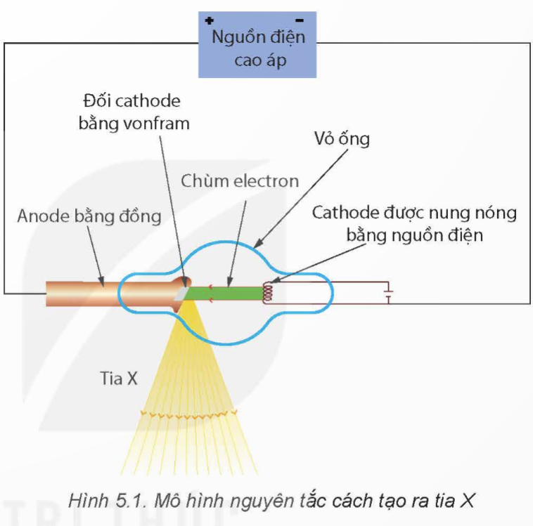 CHUYÊN ĐỀ 2: MỘT SỐ ỨNG DỤNG VẬT LÍ TRONG CHẨN ĐOÁN Y HỌC