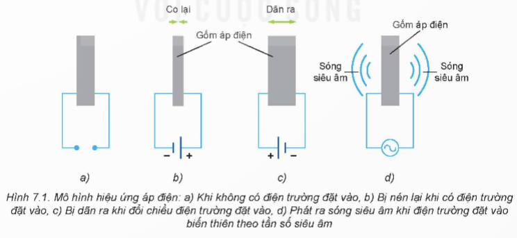 BÀI 7: SIÊU ÂM