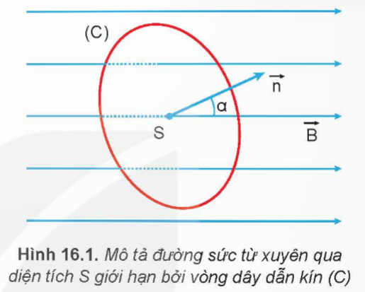 I. GIÁO ÁN WORD KÌ 2 VẬT LÍ 12 KẾT NỐI TRI THỨCGiáo án Vật lí 12 kết nối Bài 12: Áp suất khí theo mô hình động học phân tử. Quan hệ giữa động năng phân tử và nhiệt độGiáo án Vật lí 12 kết nối Bài 13: Bài tập về khí lí tưởngGiáo án Vật lí 12 kết nối Bài 14: Từ trườngGiáo án Vật lí 12 kết nối Bài 15: Lực từ tác dụng lên dây dẫn mang dòng điện. Cảm ứng từGiáo án Vật lí 12 kết nối Bài 16: Từ thông. Hiện tượng cảm ứng điện từGiáo án Vật lí 12 kết nối Bài 17: Máy phát điện xoay chiềuGiáo án Vật lí 12 kết nối Bài 18: Ứng dụng hiện tượng cảm ứng điện từGiáo án Vật lí 12 kết nối Bài 19: Điện từ trường. Mô hình sóng điện từGiáo án Vật lí 12 kết nối Bài 20: Bài tập về từ trườngGiáo án Vật lí 12 kết nối Bài 21: Cấu trúc hạt nhânGiáo án Vật lí 12 kết nối Bài 22: Phản ứng hạt nhân và năng lượng liên kếtGiáo án Vật lí 12 kết nối Bài 23: Hiện tượng phóng xạGiáo án Vật lí 12 kết nối Bài 24: Công nghiệp hạt nhânGiáo án Vật lí 12 kết nối Bài 25: Bài tập về vật lí hạt nhân Ngày soạn:…/…/…Ngày dạy:…/…/… BÀI 16: TỪ THÔNG. HIỆN TƯỢNG CẢM ỨNG ĐIỆN TỪ I. MỤC TIÊU1. Kiến thứcSau bài học này, HS sẽ:Định nghĩa được từ thông và đơn vị weber. Tiến hành các thí nghiệm đơn giản minh hoạ được hiện tượng cảm ứng điện từ. Vận dụng được định luật Faraday và định luật Lenz về cảm ứng điện từ. 2. Năng lựcNăng lực chung: Năng lực tự chủ tự học: Chủ động tích cực thực hiện những công việc của bản thân trong học tập thông qua việc tham gia đóng góp ý tưởng, đặt câu hỏi, làm thí nghiệm và trả lời các yêu cầu của GV đưa ra.Năng lực giao tiếp hợp tác: Chủ động trao đổi ý kiến với các thành viên trong nhóm để hoàn thành phiếu học tập tìm hiểu về từ thông.Năng lực giải quyết vấn đề: Xác định và tìm hiểu về từ thông, hiện tượng cảm ứng điện từ và thực hiện thí nghiệm đơn giản để minh họa hiện tượng cảm ứng điện từ.Năng lực vật lí:Định nghĩa được từ thông và đơn vị weber.Tiến hành các thí nghiệm đơn giản minh hoạ được hiện tượng cảm ứng điện tử. Phát biểu được nội dung định luật Lenz về chiều của dòng điện cảm ứng.Viết được công thức tính suất điện động cảm ứng xuất hiện trong mạch kín.Vận dụng được định luật Faraday và định luật Lenz về cảm ứng điện từ.3. Phẩm chấtChăm chỉ, trung thực, trách nhiệm trong học tập và thí nghiệm.II. THIẾT BỊ DẠY HỌC VÀ HỌC LIỆU:1. Đối với giáo viên:SGK, SBT, SGV Vật lí 12, Kế hoạch bài dạy.Hình vẽ và đồ thị trong SGK: Hình ảnh mô tả đường sức từ xuyên qua diện tích S giới hạn bởi vòng dây dẫn kín, hình ảnh các đường sức từ xuyên qua diện tích giới hạn bởi khung dây, hình ảnh khung dây dẫn kín và nam châm vĩnh cửu,…Máy chiếu, máy tính (nếu có).Phiếu học tập.2. Đối với học sinh:HS mỗi nhóm:+ Bộ dụng cụ thí nghiệm 1: nam châm, cuộn dây, điện kế và các dây dẫn.+ Bộ dụng cụ thí nghiệm 2: nam châm điện, cuộn dây, điện kế, khóa K, nguồn điện, biến trở và các dây dẫn.HS cả lớp:+ SGK, SBT Vật lí 12.+ Hình vẽ liên quan đến nội dung bài học và các dụng cụ học tập theo yêu cầu của GV.III. TIẾN TRÌNH DẠY HỌCA. HOẠT ĐỘNG KHỞI ĐỘNGa. Mục tiêu: HS đặt được các câu hỏi tìm hiểu về hiện tượng cảm ứng điện từ và xác định được vấn đề của bài học.b. Nội dung: GV cho HS thảo luận về nội dung mở đầu trong SGK, HS phát biểu ý kiến của bản thân để hình dung về từ thông và hiện tượng cảm ứng điện từ, từ đó GV định hướng HS vào nội dung của bài học.c. Sản phẩm học tập: HS nêu được các nội dung về từ thông và hiện tượng cảm ứng điện từ, phát hiện vấn đề và giải quyết vấn đề cần tìm hiểu.d. Tổ chức thực hiện:Bước 1: GV chuyển giao nhiệm vụ học tập- GV yêu cầu HS trả lời câu hỏi Mở đầu (SGK – tr66): Khi số đường sức từ xuyên qua tiết diện của cuộn dây dẫn kín biến thiên thì trong cuộn dây dẫn đó xuất hiện dòng điện cảm ứng. Hãy cho biết có những cách nào làm cho số đường sức từ qua tiết diện của cuộn dây dẫn kín biến thiên?- GV yêu cầu HS đặt các câu hỏi để tìm hiểu về hiện tượng cảm ứng điện từ.Bước 2: HS thực hiện nhiệm vụ học tập- HS thảo luận, dự đoán, đưa ra các câu hỏi và câu trả lời.Bước 3: Báo cáo kết quả hoạt động và thảo luận- GV mời 2 – 3 HS trả lời câu hỏi:Cách làm để làm cho số đường sức từ qua tiết diện của cuộn dây dẫn kín biến thiên là di chuyển cuộn dây dẫn biến thiên: di chuyển cuộn dây dẫn, quay cuộn dây dẫn,...- HS nêu các câu hỏi để tìm hiểu về hiện tượng cảm ứng điện từ.Ví dụ:+ Điều kiện xuất hiện hiện tượng cảm ứng điện từ là gì?+ Xác định chiều của dòng điện cảm ứng như thế nào?+ Dòng điện xuất hiện trong cuộn dây có thể tồn tại bao lâu?Bước 4: Đánh giá kết quả, thực hiện nhiệm vụ học tập- Sau khi HS trao đổi, phát biểu ý kiến, GV nhận xét vào nội dung bài học: Khi thay đổi số lượng các đường sức từ qua cuộn dây dẫn kín thì trong cuộn dây xuất hiện dòng điện cảm ứng. Vậy chiều của dòng điện cảm ứng được xác định như thế nào? Và phụ thuộc vào các yếu tố nào?Để tìm hiểu rõ hơn về vấn đề này chúng ra vào bài học ngày hôm nay: Bài 16: Từ thông. Hiện tượng cảm ứng điện từ.B. HOẠT ĐỘNG HÌNH THÀNH KIẾN THỨCHoạt động 1. Tìm hiểu định nghĩa từ thônga. Mục tiêu: HS định nghĩa được từ thông và đơn vị weber.b. Nội dung: GV hướng dẫn HS thực hiện theo các hoạt động trong SGK để tìm hiểu về từ thông.c. Sản phẩm: Kết quả HS thực hiện các yêu cầu, gợi ý, dẫn dắt của GV để nêu được định nghĩa, công thức và đơn vị của từ thông.d. Tổ chức thực hiện:HOẠT ĐỘNG CỦA GV - HSDỰ KIẾN SẢN PHẨMBước 1: GV chuyển giao nhiệm vụ học tập- GV yêu cầu HS nghiên cứu SGK và đặt câu hỏi:+ Đại lượng  nào đặc trưng cho số đường sức từ biến thiên qua tiết diện của cuộn dây dẫn kín?- GV chiếu hình 16.1 và mô tả đường sức từ xuyên qua diện tích S giới hạn bởi vòng dây dẫn kín (C).- GV thông báo biểu thức từ thông.- GV đặt câu hỏi và yêu cầu HS trả lời:+ Em hãy nêu đơn vị của từ thông, ý nghĩa của từ thông.+ Câu hỏi (SGK – tr66): Từ biểu thức (16.1), hãy cho biết trong trường hợp nào thì từ thông qua vòng dây diện tích S giới hạn bởi vòng dây dẫn kín (C) có trị số dương, trị số âm.+ Hoạt động (SGK – tr67): Để làm từ thông biến thiên, có thể biến đổi từng đại lượng B, S, α trong biểu thức (16.1). Hãy đề xuất các cách có thể làm biến thiên từ thông qua tiết diện khung dây dẫn mềm nối với điện kế thành mạch kín trong các trường hợp sau:Trường hợp 1: Khung dây dẫn đặt cạnh nam châm vĩnh cửu (Hình 16.4).Trường hợp 2: Khung dây dẫn đặt cạnh nam châm điện (Hình 16.5).- Sau khi HS trả lời, GV kết luận về định nghĩa, công thức và đơn vị của từ thông.Bước 2: HS thực hiện nhiệm vụ học tập- HS đọc thông tin SGK, trao đổi, thảo luận trả lời các câu hỏi mà GV đưa ra.- GV quan sát, hướng dẫn, hỗ trợ HS (nếu cần thiết).Bước 3: Báo cáo kết quả hoạt động và thảo luận- GV mời đại diện các nhóm báo cáo kết quả thảo luận:*Trả lời Câu hỏi (SGK – tr66)- Từ công thức (16.1) ta thấy khi B và S cố định thì nếu:+ Góc α = 900 thì Ф = 0.+ Góc α < 900 thì Ф > 0.+ Góc α > 900 thì Ф < 0.*Trả lời Hoạt động (SGK – tr67)Sử dụng khung dây dẫn kín nối với điện kế. Thay đổi cảm ứng từ qua khung dây bằng cách sử dụng nam châm vĩnh cửu, nam châm điện; thay đổi tiết diện bằng cách sử dụng cuộn dây dẫn mềm; thay đổi góc α bằng cách quay khung dây hoặc nam châm.- GV mời HS khác nhận xét, bổ sung. Bước 4: Đánh giá kết quả, thực hiện nhiệm vụ học tập- Từ kết quả thảo luận của nhóm, GV nhận xét, đánh giá quá trình HS thực hiện nhiệm vụ.- GV kết luận về nội dung Từ thông- GV chuyển sang nội dung Hiện tượng cảm ứng điện từ.I. TỪ THÔNG- Định nghĩa từ thông: từ thông dùng để diễn tả số đường sức từ xuyên qua một diện tích giới hạn đặt trong từ trường. - Công thức tính từ thông F từ thông qua diện tích S đặt trong từ trường đều B: F = BScosa. - Đơn vị đo từ thông: weber (kí hiệu: Wb).Hoạt động 2. Tìm hiểu hiện tượng cảm ứng điện từa. Mục tiêu: HS tiến hành các thí nghiệm đơn giản minh hoạ được hiện tượng cảm ứng điện từ.b. Nội dung: GV hướng dẫn HS thực hiện theo các hoạt động trong SGK để tìm hiểu hiện tượng cảm ứng điện từ.c. Sản phẩm: Kết quả HS thực hiện các yêu cầu, gợi ý, dẫn dắt của GV để nêu được hiện tượng cảm ứng điện từ.d. Tổ chức thực hiện:------------------------- Còn tiếp ------------------------- Ngày soạn:…/…/…Ngày dạy:…/…/… BÀI 19: ĐIỆN TỪ TRƯỜNG. MÔ HÌNH SÓNG ĐIỆN TỪ I. MỤC TIÊU1. Kiến thứcSau bài học này, HS sẽ:Mô tả được mô hình sóng điện từ và ứng dụng để giải thích sự tạo thành và lan truyền của các sóng điện từ trong thang sóng điện từ.2. Năng lựcNăng lực chung: Năng lực tự chủ tự học: Chủ động tích cực thực hiện những công việc của bản thân trong học tập thông qua việc tham gia đóng góp ý tưởng, đặt câu hỏi và trả lời các yêu cầu của GV đưa ra.Năng lực giao tiếp hợp tác: Tích cực trao đổi thông tin với các thành viên trong nhóm để thực hiện nhiệm vụ tìm hiểu về mối liên hệ giữa điện trường biến thiên và từ trường biến thiên.Năng lực giải quyết vấn đề: Xác định được và biết tìm hiểu các thông tin liên quan đến điện từ trường, mô hình sóng điện từ, đề xuất giải pháp giải quyết.Năng lực vật lí:Nêu được mối liên hệ giữa điện trường biến thiên và từ trường biến thiên.Mô tả được mô hình sóng điện từ.Sử dụng mô hình sóng điện từ để giải thích được tính chất của sóng điện từ.3. Phẩm chấtChăm chỉ, trung thực, trách nhiệm trong học tập.II. THIẾT BỊ DẠY HỌC VÀ HỌC LIỆU:1. Đối với giáo viên:SGK, SBT, SGV Vật lí 12, Kế hoạch bài dạy.Hình vẽ và đồ thị trong SGK: Hình ảnh thí nghiệm xuất hiện điện trường xoáy khi nam châm rơi qua ống dây, hình ảnh điện trường biến thiên giữa hai bản tụ điện và từ trường do nó sinh ra,Máy chiếu, máy tính (nếu có).2. Đối với học sinh:SGK, SBT Vật lí 12.Hình vẽ liên quan đến nội dung bài học và các dụng cụ học tập theo yêu cầu của GV.III. TIẾN TRÌNH DẠY HỌCA. HOẠT ĐỘNG KHỞI ĐỘNGa. Mục tiêu: HS xác định được mục tiêu của bài học về điện từ trường.b. Nội dung: GV cho HS thảo luận về nội dung mở đầu trong SGK, HS phát biểu ý kiến của bản thân để hình dung về điện từ trường, từ đó GV định hướng HS vào nội dung của bài học.c. Sản phẩm học tập: HS phát hiện vấn đề và giải quyết vấn đề cần tìm hiểu.d. Tổ chức thực hiện:Bước 1: GV chuyển giao nhiệm vụ học tập- GV chiếu hình ảnh thang sóng điện từ.- GV yêu cầu HS trả lời nội dung Mở đầu (SGK – tr82): Thang sóng điện từ bao gồm rất nhiều vùng như hồng ngoại, tử ngoại, ánh sáng nhìn thấy,… Sóng điện từ được tạo thành và lan truyền như thế nào?Bước 2: HS thực hiện nhiệm vụ học tập- HS quan sát hình ảnh thang sóng điện từ, nhớ lại các kiến thức đã học về sóng điện từ ở chương trình Vật lí 11, suy luận để trả lời câu hỏi.Bước 3: Báo cáo kết quả hoạt động và thảo luận- GV mời 2 – 3 HS trả lời câu hỏi:Điện từ trường lan truyền trong không gian tạo thành sóng điện từ, sóng điện từ; sóng điện từ lan truyền trong không gian với tốc độ 3.108 m/s,...Bước 4: Đánh giá kết quả, thực hiện nhiệm vụ học tập- GV chưa chốt kiến thức mà dẫn dắt vào bài học mới: Sóng điện từ là điện từ trường lan truyền trong không gian. Để có câu trả lời chính xác cho câu hỏi mở đầu, chúng ta cùng đi tìm hiểu bài học ngày hôm nay: Bài 19: Điện từ trường. Mô hình sóng điện từ.B. HOẠT ĐỘNG HÌNH THÀNH KIẾN THỨCHoạt động 1. Tìm hiểu mối liên hệ giữa điện trường biến thiên và từ trường biến thiêna. Mục tiêu: - HS nêu được mối liên hệ giữa điện trường biến thiên và từ trường biến thiên. - HS trình bày được sự hình thành sóng điện từ.b. Nội dung: GV hướng dẫn HS thực hiện theo các hoạt động trong SGK để tìm hiểu về điện từ trường.c. Sản phẩm: Kết quả HS thực hiện các yêu cầu, gợi ý, dẫn dắt của GV để nêu được mối liên hệ giữa điện trường biến thiên và từ trường biến thiên.d. Tổ chức thực hiện:HOẠT ĐỘNG CỦA GV - HSDỰ KIẾN SẢN PHẨMBước 1: GV chuyển giao nhiệm vụ học tập- GV chiếu hình ảnh thí nghiệm xuất hiện điện trường xoáy khi nam châm rơi qua ống dây (hình 19.1) cho HS quan sát.- GV yêu cầu HS nghiên cứu SGK và đặt câu hỏi:+ Dòng điện cảm ứng xuất hiện khi nào?+ Điện trường xoáy là gì?+ Hoạt động (SGK – tr82): So sánh sự giống nhau và khác nhau giữa điện trường gây ra bởi điện tích đứng yên và điện trường xoáy.- Sau khi HS trả lời, GV kết luận về từ trường biến thiên và điện trường xoáy.- GV đặt câu hỏi: Điện trường biến thiên theo thời gian có làm xuất hiện từ trường không?- GV chiếu hình 19.3 và 19.4 cho HS quan sát.- GV yêu cầu HS nghiên cứu SGK và nêu mối liên hệ giữa điện trường biến thiên và từ trường biến thiên.- GV yêu cầu HS trả lời nội dung Câu hỏi (SGK – tr83)So sánh điểm khác nhau cơ bản giữa điện từ trường với điện trường, từ trường.- GV kết luận về mối liên hệ giữa điện trường biến thiên và từ trường biến thiên.Bước 2: HS thực hiện nhiệm vụ học tập- HS đọc thông tin SGK, trao đổi, thảo luận trả lời các câu hỏi mà GV đưa ra.- GV quan sát, hướng dẫn, hỗ trợ HS (nếu cần thiết).Bước 3: Báo cáo kết quả hoạt động và thảo luận- GV mời đại diện các nhóm báo cáo kết quả thảo luận:*Trả lời Hoạt động (SGK – tr82)- Giống nhau: Đều tác dụng lực lên điện tích đặt trong nó.- Khác nhau: Điện trường gây bởi điện tích đứng yên là điện trường tĩnh và không sinh ra từ trường; điện trường trường xoáy sinh ra từ điện tích chuyển động hoặc từ trường biến thiên.*Trả lời Câu hỏi (SGK – tr82)Khi trình bày về điện trường và từ trường ở các phần trước ta chỉ xét từ trường, điện trường như một đối tượng riêng rẽ. Trong hầu hết các trường hợp đã xét là điện trường, từ trường tỉnh. Còn điện từ trường là quá trình lan truyền điện từ trường biến thiên trong không gian theo thời gian.- GV mời HS khác nhận xét, bổ sung. Bước 4: Đánh giá kết quả, thực hiện nhiệm vụ học tập- Từ kết quả thảo luận của nhóm, GV nhận xét, đánh giá quá trình HS thực hiện nhiệm vụ.- GV kết luận về nội dung Liên hệ giữa điện trường biến thiên và từ trường biến thiên.- GV chuyển sang nội dung Mô hình sóng điện từ.I. LIÊN HỆ GIỮA ĐIỆN TRƯỜNG BIẾN THIÊN VÀ TỪ TRƯỜNG BIẾN THIÊN1. Từ trường biến thiên và điện trường xoáy- Từ thông qua ống dây kín biến thiên thì trong ống dây xuất hiện dòng điện cảm ứng. Sự xuất hiện của dòng điện cảm ứng chứng tỏ trong dây dẫn đã xuất hiện một điện trường, có chiều là chiều của dòng điện cảm ứng; đường sức của điện trường này là các đường cong kín. Điện trường có tính chất này là điện trường xoáy.- Trong vùng không gian có từ trường biến thiên theo thời gian thì trong vùng đó xuất hiện một điện trường xoáy.2. Điện trường biến thiên và từ trường- Thí nghiệm với dòng điện xoay chiều qua tụ điện cho thấy điện trường biến thiên theo thời gian và làm xuất hiện từ trường.3. Điện từ trường- Từ trường biến thiên theo thời gian sinh ra trong không gian xung quanh một điện trường biến thiên theo thời gian; ngược lại, điện trường biến thiên theo thời gian cũng sinh ra một từ trường biến thiên theo thời gian trong không gian xung quanh.Hoạt động 2. Mô tả mô hình sóng điện từa. Mục tiêu: HS mô tả được mô hình sóng điện từ.b. Nội dung: GV hướng dẫn HS thực hiện theo các hoạt động trong SGK để tìm hiểu về đặc điểm của sóng điện từ.c. Sản phẩm: Kết quả HS thực hiện các yêu cầu, gợi ý, dẫn dắt của GV để nêu được đặc điểm của mô hình sóng điện từ.d. Tổ chức thực hiện:------------------------- Còn tiếp ------------------------- II. TRẮC NGHIỆM KÌ 2 VẬT LÍ 12 KẾT NỐI TRI THỨCPhiếu trắc nghiệm Vật lí 12 kết nối Bài 12: Áp suất khí theo mô hình động học phân tử. Quan hệ giữa động năng phân tử và nhiệt độPhiếu trắc nghiệm Vật lí 12 kết nối Bài 13: Bài tập về khí lí tưởngPhiếu trắc nghiệm Vật lí 12 kết nối Bài 14: Từ trườngPhiếu trắc nghiệm Vật lí 12 kết nối Bài 15: Lực từ tác dụng lên dây dẫn mang dòng điện. Cảm ứng từPhiếu trắc nghiệm Vật lí 12 kết nối Bài 16: Từ thông. Hiện tượng cảm ứng điện từPhiếu trắc nghiệm Vật lí 12 kết nối Bài 17: Máy phát điện xoay chiềuPhiếu trắc nghiệm Vật lí 12 kết nối Bài 18: Ứng dụng hiện tượng cảm ứng điện từPhiếu trắc nghiệm Vật lí 12 kết nối Bài 19: Điện từ trường. Mô hình sóng điện từPhiếu trắc nghiệm Vật lí 12 kết nối Bài 20: Bài tập về từ trườngPhiếu trắc nghiệm Vật lí 12 kết nối Bài 21: Cấu trúc hạt nhânPhiếu trắc nghiệm Vật lí 12 kết nối Bài 22: Phản ứng hạt nhân và năng lượng liên kếtPhiếu trắc nghiệm Vật lí 12 kết nối Bài 23: Hiện tượng phóng xạPhiếu trắc nghiệm Vật lí 12 kết nối Bài 24: Công nghiệp hạt nhânPhiếu trắc nghiệm Vật lí 12 kết nối Bài 25: Bài tập về vật lí hạt nhân BÀI 19: ĐIỆN TỪ TRƯỜNG. MÔ HÌNH SÓNG ĐIỆN TỪ(16 CÂU) A. CÂU HỎI TRẮC NGHIỆM1. NHẬN BIẾT (7 CÂU)Câu 1: Trong vùng không gian có từ trường biến thiên theo thời gian thì trong vùng đó xuất hiệnA. lực từ.B. hiện tượng cảm ứng điện từ.C. điện trường xoáy.D. điện từ trường.Câu 2: Tại mỗi điểm trong không gian, vecto cảm ứng từ và vecto cường độ điện trường luônA. vuông góc với nhau.B. trùng nhau.C. song song với nhau.D. hợp với nhau một góc 450.Câu 3: Sóng điện từ là gì?A. Là quá trình lan truyền cảm ứng điện từ trong không gian.B. Là quá trình biến thiên giá trị điện trường trong không gian.C. Là quá trình biến thiên giá trị lự từ trong không gian.D. Là quá trình lan truyền điện từ trường trong không gian.Câu 4: Pha dao động của  và A. luôn ngược pha.B. luôn đồng pha.C. luôn vuông pha.D. luôn lệch nhau góc Câu 5: Trong thí nghiệm về hiện tượng cảm ứng điện từ, trường hợp nào thì trong ống dây xuất hiện dòng điện cảm ứng?A. Khi cho nam châm đứng yên bên trong ống dây.B. Khi cho nam châm đứng yên gần ống dây.C. Khi cho nam châm rơi qua ống dây.D. Khi cho nam châm xoay xung quanh bên ngoài ống dây.Câu 6: Trong chân không, bước sóng λ của sóng điện từ có thể được xác định bởi công thức nào?A. .B. .C. .D. .Câu 7: Điện trường xoáy là điện trườngA. có các đường sức là đường cong kín.B. có các đường sức không khép kín.C. giữa hai bản tụ điện có điện tích không đổi.D. của các điện tích đứng yên.2. THÔNG HIỂU (6 CÂU) Câu 1: Phát biểu nào sau đây là sai khi nói về sóng điện từ?A. Sóng điện từ là sóng ngang.B. Sóng điện từ không lan truyền được trong chân không.C. Sóng điện từ là điện từ trường lan truyền trong không gian.D. Tại một điểm trong không gian truyền sóng điện từ vecto  và vecto  luôn đồng pha nhau.Câu 2:Phát biểu nào sau đây không đúng khi nói về điện từ trường?A. Sự biến thiên của từ trường và điện trường bao gồm sự thay đổi về chiều và độ lớn.B. Tại mỗi điểm trong không gian, vecto cảm ứng từ luôn vuông góc với vecto cường độ điện trường C. Từ trường biến thiên theo thời gian sinh ra trong không gian xung quanh một điện trường biến thiên theo thời gian.D. Điện trường biến thiên theo thời gian không sinh ra từ trường biến thiên.Câu 3: Trường hợp nào dưới đây xuất hiện điện từ trường?A. Xung quanh điện tích đứng yên.B. Xung quanh tia lửa điện.C. Xung quanh một ống dây điện.D. Xung quanh dòng điện không đổi.------------------------- Còn tiếp ------------------------- BÀI 24: CÔNG NGHIỆP HẠT NHÂN(15 CÂU) A. CÂU HỎI TRẮC NGHIỆM