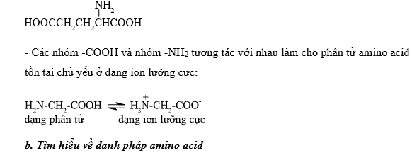 BÀI 6: AMINO ACID