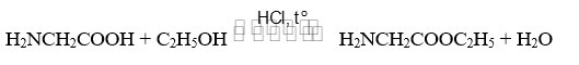 BÀI 6: AMINO ACID