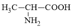 BÀI 6: AMINO ACID