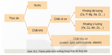 CHƯƠNG VII: CÔNG NGHỆ THỨC ĂN THỦY SẢNBÀI 16: THỨC ĂN THỦY SẢN I. MỤC TIÊU1. Kiến thứcSau bài học này, HS sẽ:Trình bày được thành phần dinh dưỡng và vai trò của các nhóm thức ăn thủy sản.2. Năng lựcNăng lực chung: Giao tiếp và hợp tác: khả năng thực hiện nhiệm vụ một cách độc lập hay theo nhóm; Trao đổi tích cực với giáo viên và các bạn khác trong lớp.Tự chủ và tự học: biết lắng nghe và chia sẻ ý kiến cá nhân với bạn, nhóm và GV. Tích cực tham gia các hoạt động trong lớp.Giải quyết vấn đề và sáng tạo: biết phối hợp với bạn bè khi làm việc nhóm, tư duy logic, sáng tạo khi giải quyết vấn đề.Năng lực riêng: Năng lực tìm hiểu công nghệ: Lựa chọn được các nguồn tài liệu phù hợp để tìm hiểu về thành phần dinh dưỡng và vai trò của các nhóm thức ăn thủy sản.3. Phẩm chấtChăm chỉ: HS chuẩn bị bài trước khi đến lớp, hăng say tìm tòi kiến thức bên ngoài để mở rộng hiểu biết và thường xuyên xem lại kiến thức bài cũ.Trung thực: HS thật thà, ngay thẳng trong việc đánh giá và tự đánh giá; HS mạnh dạn nói lên ý tưởng, suy nghĩ của mình.II. THIẾT BỊ DẠY HỌC 1. Đối với giáo viênGiáo án, SGK, SGV, SBT Công nghệ Lâm nghiệp – Thủy sản – Kết nối tri thức với cuộc sống.Máy tính, máy chiếu (nếu có).Hình ảnh, video liên quan đến các nhóm thức ăn thủy sản.2. Đối với học sinhSGK, SBT Công nghệ Lâm nghiệp – Thủy sản – Kết nối tri thức với cuộc sống.Tìm hiểu trước thông tin phục vụ cho bài học qua SGK Công nghệ Lâm nghiệp – Thủy sản và internet. III. CÁC HOẠT ĐỘNG DẠY HỌC A. HOẠT ĐỘNG KHỞI ĐỘNGa. Mục tiêu: Giúp HS gợi nhớ lại những kiến thức, kinh nghiệm đã có về thành phần dinh dưỡng và các nhóm thức ăn thủy sản, đồng thời kích thích HS mong muốn tìm hiểu bài học mới.b. Nội dung: HS quan sát hình và thực hiện yêu cầu của GV.c. Sản phẩm: Câu trả lời của HS về các nhóm thức ăn thủy sản.d.Tổ chức thực hiện:Bước 1: GV chuyển giao nhiệm vụ học tập- GV yêu cầu HS quan sát các hình ảnh sau:- GV yêu cầu HS vận dụng kiến thức thực tiễn để trả lời câu hỏi: Thức ăn thủy sản được chia thành mấy nhóm? Thức ăn trong Hình 16.1 thuộc nhóm nào?- GV nêu câu hỏi bổ sung: Thức ăn trong hình có vai trò gì đối với động vật thủy sản?Bước 2: HS tiếp nhận, thực hiện nhiệm vụ học tập- HS quan sát hình, thực hiện yêu cầu của GV. - GV quan sát, hướng dẫn, hỗ trợ HS (nếu cần thiết). Bước 3: Báo cáo kết quả thực hiện nhiệm vụ học tập- GV mời đại diện 2 – 3 HS xung phong trả lời:+ Thức ăn thủy sản được chia thành 4 nhóm: thức ăn hỗn hợp; chất bổ sung; thức ăn tươi sống; nguyên liệu.+ Thức ăn trong Hình 16.1 là thức ăn hỗn hợp.+ Vai trò của thức ăn hỗn hợp: chứa đầy đủ các chất dinh dưỡng như protein, lipid, carbohydrate, khoáng chất để phù hợp với từng loài, từng giai đoạn sinh trưởng và phát triển của thủy sản.- GV yêu cầu các HS khác lắng nghe, nhận xét, bổ sung ý kiến (nếu có).Bước 4: Đánh giá kết quả thực hiện nhiệm vụ học tập- GV chưa chốt đúng sai mà dẫn dắt HS vào bài học: Để biết được câu trả lời của các bạn là đúng hay sai cũng như tìm hiểu về vai trò của các nhóm thức ăn cho thủy sản, chúng ta cùng nghiên cứu bài học ngày hôm nay – Bài 16: Thức ăn thủy sản. B. HOẠT ĐỘNG HÌNH THÀNH KIẾN THỨCHoạt động 1: Tìm hiểu thành phần dinh dưỡng trong thức ăn thuỷ sảna. Mục tiêu: Thông qua hoạt động, HS nêu được khái niệm thức ăn thuỷ sản và các thành phần dinh dưỡng trong thức ăn thuỷ sản. b. Nội dung: HS làm việc nhóm, khai thác thông tin mục I SGK tr.82 - 83, hoàn thành yêu cầu của GV.c. Sản phẩm: Câu trả lời của HS về khái niệm thức ăn thuỷ sản và các thành phần dinh dưỡng trong thức ăn thuỷ sản. d. Tổ chức thực hiện:HOẠT ĐỘNG CỦA GV - HSDỰ KIẾN SẢN PHẨMBước 1: GV chuyển giao nhiệm vụ học tập- GV yêu cầu HS làm việc theo nhóm (4 HS / nhóm), quan sát các hình ảnh, đọc thông tin SGK tr. 82 - 83 và trình bày khái niệm của thức ăn thuỷ sản.- GV yêu cầu HS tiếp tục thảo luận nhóm để trả lời câu hỏi Khám phá: Quan sát Hình 16.3 và nêu các thành phần dinh dưỡng trong thức ăn thuỷ sản. - GV mở rộng kiến thức, yêu cầu HS liên hệ hiểu biết thực tiễn và đưa ra nhận xét về thành phần dinh dưỡng trong thức ăn của các loài thuỷ sản trong Bảng 16.1. (Đính kèm bên dưới phần Nhiệm vụ)Bước 2: HS tiếp nhận nhận, thực hiện nhiệm vụ học tập- HS nghiên cứu mục I, quan sát hình ảnh và thảo luận nhóm để trả lời câu hỏi của GV.- GV quan sát, hướng dẫn, hỗ trợ HS (nếu cần thiết).Bước 3: Báo cáo kết quả hoạt động, thảo luận- GV mời đại diện 2 – 3 nhóm trả lời.* Trả lời câu hỏi Khám phá:Thành phần dinh dưỡng trong thức thủy sản gồm:+ Nước + Chất khô:Chất vô cơ: Khoáng đa lượng và Khoáng vi lượngChất hữu cơ: protein, lipid, carbohydrate, vitamin.* Trả lời câu hỏi mở rộng:+ Chỉ số protein: chiếm chỉ số lớn nhất và quan trọng nhất bởi protein nâng cao chất lượng của thủy sản.+ Chỉ số lipid thô, carbohydrate, khoáng: chiếm chỉ số tương đối.+ Chỉ số xơ và ethoxyquin: chiếm chỉ số nhỏ nhất trong tất cả thức ăn thủy sản.- Các HS khác lắng nghe, nhận xét, bổ sung đáp án (nếu có).Bước 4: Đánh giá kết quả thực hiện nhiệm vụ học tập- GV nhận xét, đánh giá, kết luận.- GV chuyển sang nhiệm vụ mới. I. Thành phần dinh dưỡng trong thức ăn thuỷ sản1. Khái niệm- Thức ăn thuỷ sản là:+ sản phẩm cung cấp dinh dưỡng, thành phần có lợi cho sự phát triển của động vật thuỷ sản;+ bao gồm thức ăn hỗn hợp, chất bổ sung, thức ăn tươi sống và nguyên liệu. 2. Thành phần dinh dưỡng- Các loại thức ăn thuỷ sản đều có thành phần chung gồm nước và chất khô.- Trong chất khô có chất hữu cơ và chất vô cơ (Hình 16.3). Bảng 16.1. Tỉ lệ thành phần dinh dưỡng trong thức ăn của một số loài thuỷ sản nuôiLoại cáTỉ lệ các thành phần dinh dưỡng trong thức ăn (%)ProteinLipidChất xơ thôChất vô cơCá quả405612 - 14Cá rô phi giống355612 - 14Cá rô phi thương phẩm306712 - 14Tôm thẻ chân trắng4054-Cá chim vây vàng43 - 469 - 103- Hoạt động 2: Tìm hiểu vai trò của các nhóm thức ăn thuỷ sản a. Mục tiêu: Thông qua hoạt động, HS nhận thức được vai trò của các nhóm thức ăn thuỷ sản. b. Nội dung: HS nghiên cứu mục II trong SGK tr.83 - 84 để hoàn thành yêu cầu của GV.c. Sản phẩm: Câu trả lời của HS về vai trò của các nhóm thức ăn thuỷ sản. d. Tổ chức thực hiện:HOẠT ĐỘNG CỦA GV - HSDỰ KIẾN SẢN PHẨMBước 1: GV chuyển giao nhiệm vụ học tập- GV yêu cầu HS nghiên cứu thông tin mục II trong SGK, kết hợp thông tin trong Bảng 16.2 trả lời câu hỏi mục Khám phá:1. Đọc thông tin trong Bảng 16.2. và nêu vai trò của các nhóm thức ăn thuỷ sản.2. Hãy kể tên một số nguyên liệu cung cấp protein cho sản xuất thức ăn thuỷ sản. - GV yêu cầu HS thảo luận nhóm đôi, trả lời: Việc xác định vai trò của các nhóm thức ăn có ý nghĩa gì đối với nuôi thuỷ sản?- GV tổ chức cho HS liên hệ thực tiễn thông qua trả lời câu hỏi mở rộng: Kể tên một số nguyên liệu cung cấp protein cho sản xuất thức ăn thuỷ sản.Bước 2: HS tiếp nhận nhận, thực hiện nhiệm vụ học tập- HS nghiên cứu mục II, suy nghĩ trả lời câu hỏi của GV.- GV quan sát, hướng dẫn, hỗ trợ HS (nếu cần thiết).Bước 3: Báo cáo kết quả hoạt động, thảo luận- GV mời đại diện 2 – 3 HS trả lời.* Trả lời câu hỏi mục Khám phá: 1.  Vai trò của các nhóm thức ăn thuỷ sản (DKSP).2. Nguyên liệu cung cấp protein: sinh vật phù du, các loại thịt.* Trả lời câu hỏi của GV: Căn cứ vào vai trò của các nhóm thức ăn để xây dựng khẩu phần ăn phù hợp cho từng loài, từng giai đoạn sinh trưởng và phát triển của thuỷ sản.* Trả lời câu hỏi mở rộng: Bột cá khô, dầu lạc,…- Các HS khác lắng nghe, nhận xét, bổ sung ý kiến (nếu có).Bước 4: Đánh giá kết quả thực hiện nhiệm vụ học tập- GV nhận xét, đánh giá, kết luận.- GV chuyển sang nội dung luyện tập. II. Vai trò của các nhóm thức ăn thuỷ sản(Đính kèm Bảng 16.2 bên dưới phần Nhiệm vụ) ---------------- Còn tiếp ------------------II. TRẮC NGHIỆM KÌ 2 CÔNG NGHỆ 12 LÂM NGHIỆP - THỦY SẢN KẾT NỐI TRI THỨCPhiếu trắc nghiệm Công nghệ 12 Lâm nghiệp Thuỷ sản kết nối Bài 14: Sinh sản của cá và tômPhiếu trắc nghiệm Công nghệ 12 Lâm nghiệp Thuỷ sản kết nối Bài 15: Ứng dụng công nghệ sinh học trong chọn và nhân giống thuỷ sảnPhiếu trắc nghiệm Công nghệ 12 Lâm nghiệp Thuỷ sản kết nối Bài 16: Thức ăn thuỷ sảnPhiếu trắc nghiệm Công nghệ 12 Lâm nghiệp Thuỷ sản kết nối Bài 17: Phương pháp bảo quản và chế biến thức ăn thuỷ sảnPhiếu trắc nghiệm Công nghệ 12 Lâm nghiệp Thuỷ sản kết nối Bài 18: Ứng dụng công nghệ sinh học trong bảo quản, chế biến thức ăn thuỷ sảnPhiếu trắc nghiệm Công nghệ 12 Lâm nghiệp Thuỷ sản kết nối Bài 19: Công nghệ nuôi một số loài thuỷ sản phổ biến ở Việt NamPhiếu trắc nghiệm Công nghệ 12 Lâm nghiệp Thuỷ sản kết nối Bài 20: Nuôi thuỷ sản theo tiêu chuẩn VietGAPPhiếu trắc nghiệm Công nghệ 12 Lâm nghiệp Thuỷ sản kết nối Bài 21: Một số ứng dụng công nghệ cao trong nuôi thuỷ sảnPhiếu trắc nghiệm Công nghệ 12 Lâm nghiệp Thuỷ sản kết nối Bài 22: Bảo quản và chế biến sản phẩm thuỷ sảnPhiếu trắc nghiệm Công nghệ 12 Lâm nghiệp Thuỷ sản kết nối Bài 23: Vai trò của phòng, trị bệnh thuỷ sảnPhiếu trắc nghiệm Công nghệ 12 Lâm nghiệp Thuỷ sản kết nối Bài 24: Một số bệnh thuỷ sản phổ biến và biện pháp phòng, trịPhiếu trắc nghiệm Công nghệ 12 Lâm nghiệp Thuỷ sản kết nối Bài 25: Ứng dụng công nghệ sinh học trong phòng, trị bệnh thuỷ sảnPhiếu trắc nghiệm Công nghệ 12 Lâm nghiệp Thuỷ sản kết nối Bài 26: Bảo vệ nguồn lợi thuỷ sảnPhiếu trắc nghiệm Công nghệ 12 Lâm nghiệp Thuỷ sản kết nối Bài 27: Khai thác nguồn lợi thuỷ sảnBÀI 14: SINH SẢN CỦA CÁ VÀ TÔM.(21 CÂU)A. CÂU HỎI TRẮC NGHIỆM1. NHẬN BIẾT (10 CÂU)Câu 1: Tuổi thành thục sinh dục làA. tuổi lớn nhất trong đời cá có sản phẩm sinh dục thành thục.B. khoảng thời gian cá có sản phẩm sinh dục thành thục.C. khoảng 12 - 18 tháng tuổi.D. tuổi nhỏ nhất trong đời cá có sản phẩm sinh dục thành thục.Câu 2: Mùa sinh sản là A. mùa có điều kiện môi trường thuận lợi cho sự tồn tại, phát triển của phôi và cá con.B. mùa có có nhiều thức ăn và ít kẻ thù của cá.C. mùa có khí hậu thuận lợi cho sinh trơngr và phát triển của cá con.D. mùa nước có .Câu 3: Hầu hết các phương thức sinh sản của các loài cá đẻ trứng làA. thụ tinh trong cơ thể.B. thụ tinh ngoài trong môi trường nước.C. thụ tinh ngoài trong môi trường không khí.D. thụ tinh ngoài trong môi trường ẩm thấp.Câu 4: Ở Việt Nam, mùa sinh sản chủ yếu của cá làA. cuối xuân đầu hè ở miền Bắc và đầu mùa khô ở miền Nam.B. cuối đông đầu xuân ở miền Bắc và đầu mua khô ở miền Nam.C. cuồi hè đầu thu ở miền Bắc và đầu mùa mưa ở miền Nam.D. cuối xuân đầu hè ở miền Bắc và đầu mùa mưa ở miền Nam.Câu 5: Tuổi thành thục sinh dục ở cá rô phi là A. 4 - 6 tháng tuổi.B. 12 - 18 tháng tuổi.C. 24 tháng tuổi.D. 36 tháng tuổi.Câu 6: Tuổi thành thục sinh dục ở cá tra cái là A. 4 - 6 tháng tuổi.B. 12 - 18 tháng tuổi.C. 24 tháng tuổi.D. 36 tháng tuổi.Câu 7: Tuổi thành thục sinh dục ở cá tra đực là A. 4 - 6 tháng tuổi.B. 12 - 18 tháng tuổi.C. 24 tháng tuổi.D. 36 tháng tuổi.2. THÔNG HIỂU (4 CÂU) Câu 1: Đâu không phải vai trò của giống trong nuôi thuỷ sản ?A. Quyết định năng suất nuôi thuỷ sản.B. Quy định chất lượng thuỷ sản.C. Quyết định hiệu quả kinh tế thuỷ sảnD. Bảo vệ môi trường sinh thái.Câu 2: Cá có sức sinh sản tương đối cao vìA. đặc tính đẻ trứng, thụ tinh ngoài môi trường nước.B. có thể đẻ nhiều lứa trong năm.C. đặc tính đẻ con.D. đặc tính thụ tinh trong.Câu 3: Túi chứa tinh nằm ởA. trên lưng tôm cái.B. Trên lưng tôm đực.C. dưới bụng tôm cái.D. dưới bụng tôm đực.---------------- Còn tiếp ------------------BÀI 15: ỨNG DỤNG CÔNG NGHỆ SINH HỌC TRONG CHỌN VÀ NHÂN GIỐNG THUỶ SẢN(16 CÂU)