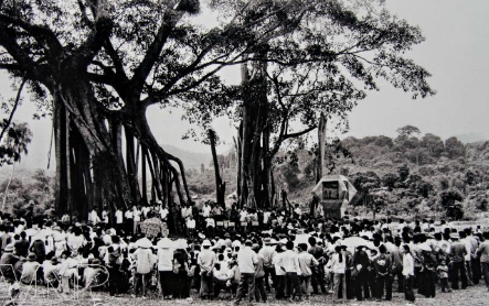 BÀI 12: TRIỀU NGUYỄN(27 CÂU) A. CÂU HỎI TRẮC NGHIỆM1. NHẬN BIẾT (10 CÂU)Câu 1: Năm 1802, ai đã lên ngôi vua?A. Nguyễn Trãi.C. Nguyễn Công Trứ.B. Nguyễn Phúc Ánh.D. Nguyễn Trường Tộ. Câu 2: Sau khi lên ngôi vua, Nguyễn Ánh lấy niên hiệu là gì?A. Minh Mạng.C. Gia Long.B. Hàm Nghi.D. Thiên Đức. Câu 3: Vua Gia Long đặt quốc hiệu là Việt Nam vào năm nào?A. Năm 1804.C. Năm 1806.B. Năm 1805.D. Năm 1807. Câu 4: Vua Gia Long định đô ở đâu?A. Phú Xuân.C. Thăng Long.B. Hoa Lư.D. Đại La. Câu 5: Năm 1813, nhà Nguyễn ban hành bộ luật nào?A. Luật Hình thư.C. Quốc triều hình luật.B. Luật Hồng Đức.D. Hoàng Việt luật lệ. Câu 6: Thời vua nào dưới Triều Nguyễn được coi là thời kì vững mạnh và có nhiều đổi mới?A. Vua Thiệu Trị.C. Vua Minh Mạng.B. Vua Gia Long.D. Vua Tự Đức. Câu 7: Năm 1858, kẻ thù nào xâm lược nước ta?A. Đế quốc Mĩ.C. Nhà Tần.B. Thực dân Pháp.D. Nhà Thanh.……………………..2. THÔNG HIỂU (4 CÂU)Câu 1: Đâu là ý đúng khi nói về sự thành lập của nhà Nguyễn?A. Năm 1803, Nguyễn Phúc Ánh lên ngôi vua.B. Năm 1808, Triều Nguyễn được thành lập.C. Vua Gia Long lập ra Triều Nguyễn.D. Vua Gia Long đóng đô ở Đại La. Câu 2: Đâu không phải là vị vua Triều Nguyễn?A. Gia Long.C. Nguyễn Trãi.B. Tự Đức.D. Thiệu Trị. Câu 3: Khỏi nghĩa nào sau đây không phải cuộc khởi nghĩa chống thực thân của nhà Nguyễn?A. Bình Giã.B. Bãi Sậy.C. Hương Khê.D. Ba Đình.---------------- Còn tiếp ------------------ BÀI 13: CÁCH MẠNG THÁNG TÁM NĂM 1945(29 CÂU)