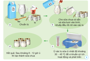 BÀI 13: VI KHUẨN CÓ ÍCH TRONG CHẾ BIẾN THỰC PHẨM(2 tiết)