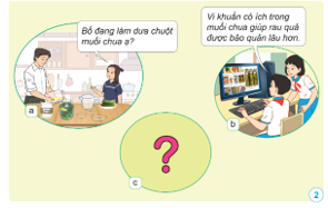 BÀI 13: VI KHUẨN CÓ ÍCH TRONG CHẾ BIẾN THỰC PHẨM(2 tiết)