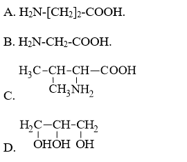 BÀI 6: AMINO ACID