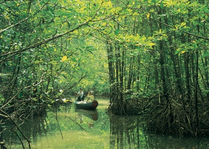 BÀI 16: VÙNG ĐÔNG NAM BỘ(36 CÂU) A. CÂU HỎI TRẮC NGHIỆM1. NHẬN BIẾT (13 CÂU)Câu 1: Thành phố nào của Đông Nam Bộ là trung tâm thương mại lớn nhất cả nước?A. Đồng Nai.B. Thành phố Hồ Chí Minh.C. Tây Ninh.D. Bình Dương.Câu 2: Vùng Đông Nam Bộ gồm có bao nhiêu tỉnh?A. 4 tỉnh.B. 5 tỉnh.C. 7 tỉnh.D. 6 tỉnh.Câu 3: Đông Nam Bộ dẫn đầu cả nước về diện tích gieo trồng cây công nghiệp nào sau đây?A. Cao su.B. Cà phê.C. Dừa.D. Chè.Câu 4: Vùng Đông Nam Bộ có diện tích khoảng:A. 23,6 nghìn km2.B. 21,3 nghìn km2.C. 95 nghìn km2.D. 44,6 nghìn km2.Câu 5: Quần đảo có diện tích lớn nhất ở vùng Đông Nam Bộ là:A. Hoàng Sa.B. Trường Sa.C. Phú Quốc.D. Côn Sơn.Câu 6: Hai loại đất chiếm diện tích lớn nhất ở Đông Nam Bộ là:A. đất badan và đất xám.B. đất xám và đất phù sa.C. đất badan và feralit.D. đất xám và đất phèn.Câu 7: Khoáng sản quan trọng nhất ở Đông Nam Bộ làA. ThanB. Dầu khíC. BoxitD. ĐồngCâu 8: Vùng Đông Nam bộ có khí hậu:A. nhiệt đới gió mùa.B. cận xích đạo.C. ôn đới lục địa.D. nhiệt đới khô.Câu 9: Các hồ nước nhân tạo quan trọng cho thủy lợi và thủy điện trong vùng Đông Nam Bộ là:A. Hồ Ba Bể và hồ Lắk.B. Hồ Thác Bà và hồ Đa Nhim.C. Hồ Dầu Tiếng và hồ Trị An.D. Hồ Yaly và hồ Dầu Tiếng.Câu 10: Công trình thủy lợi Dầu Tiếng thuộc tỉnh nào sau đây?A. Bình Dương.B. Bình Phước.C. Tây Ninh.D. Đồng Nai.……………2. THÔNG HIỂU (10 CÂU)Câu 1: Đâu là thế mạnh tự nhiên tiêu biểu của vùng Đông Nam Bộ?A. Dân cư đông, nguồn lao động dồi dào.B. Cơ sở hạ tầng ngày càng được nâng cao.C. Tài nguyên dầu khí ở thềm lục địa rất lớn.D. Trình độ phát triển kinh tế cao nhất cả nước.Câu 2: Tỉnh nào sau đây không thuộc vùng Đông Nam Bộ?A. Thành phố Hồ Chí MinhB. Bình DươngC. Tây NinhD. Long An----------------------------------------------------------- Còn tiếp ----------------------BÀI 18: VÙNG ĐỒNG BẰNG SÔNG CỬU LONG(36 CÂU)