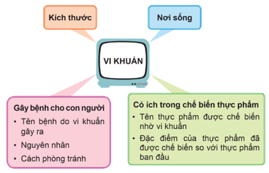 ÔN TẬP CHỦ ĐỀ VI KHUẨN(1 tiết)