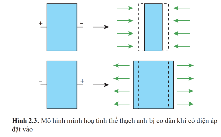 BÀI 2: SIÊU ÂM VÀ CỘNG HƯỞNG TỪ