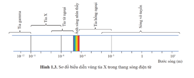 CHUYÊN ĐỀ 2: ỨNG DỤNG VẬT LÍ TRONG CHẨN ĐOÁN HÌNH ẢNH