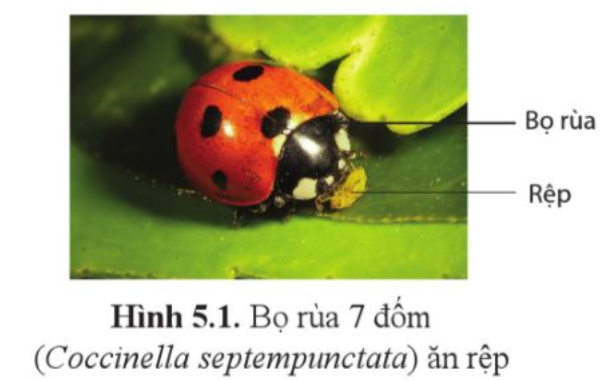 CHUYÊN ĐỀ 2. KIỂM SOÁT SINH HỌC