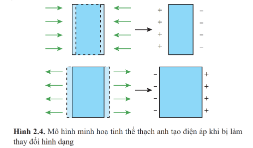 BÀI 2: SIÊU ÂM VÀ CỘNG HƯỞNG TỪ