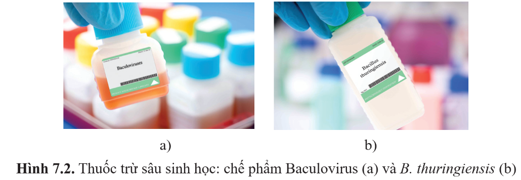 BÀI 7: BIỆN PHÁP KIỂM SOÁT SINH HỌC