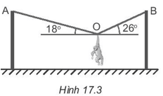 PHIẾU HỌC TẬP 1                              BÀI 17. TRỌNG LỰC VÀ LỰC CĂNGBài 1. Một vật khối lượng 10 kg được treo thẳng đứng bởi một sợi dây, vật ở trạng thái cân bằng. Tính độ lớn lực căng tác dụng vào vật. Lấy g =10 m/s2............................................................................................................................................................................................................................................................................................................................................................................................................................Bài 2. Một dây treo chỉ chịu được lực căng giới hạn là 10 N, người ta treo một vật khối lượng 2 kg vào một đầu dây. Hỏi dây có bị đứt không? Lấy g =10 m/s2............................................................................................................................................................................................................................................................................................................................................................................................................................Bài 3. Đơn vị của trọng lực là gì?.........................................................................................................................................Bài 4. Đơn vị của lực căng là gì?.........................................................................................................................................Bài 5. Công thức tính trọng lượng?.........................................................................................................................................Bài 6. Lực căng dây được kí hiệu là?.........................................................................................................................................Bài 7. ực căng dây không có đặc điểm nào sau đây?a. Tác dụng vào vật.b. Có phương trùng với phương của sợi dây.c. Ngược chiều với chiều của lực do vật kéo dãn dây.d. Luôn có độ lớn bằng với lực tác dụng vào dây...................................................................................................................................................................................................................................................................................PHIẾU HỌC TẬP 2