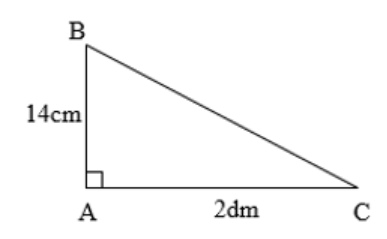 BÀI 44. DIỆN TÍCH HÌNH TAM GIÁC