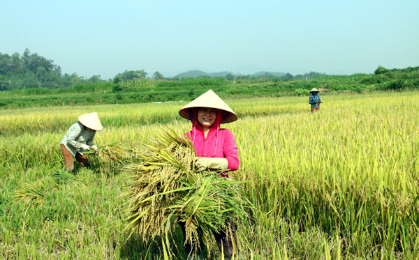 Bài 10. MẸ THIÊN NHIÊN