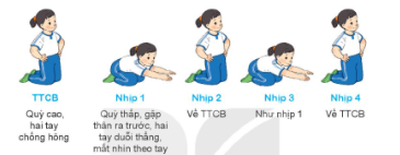 BÀI 6: BÀI TẬP CÁC TƯ THẾ QUỲ, NGỒI CƠ BẢN