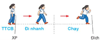 BÀI 3: BÀI TẬP PHỐI HỢP DI CHUYỂN NHANH DẦN THEO VẠCH KẺ THẲNG