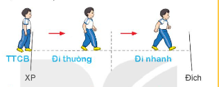 BÀI 3: BÀI TẬP PHỐI HỢP DI CHUYỂN NHANH DẦN THEO VẠCH KẺ THẲNG