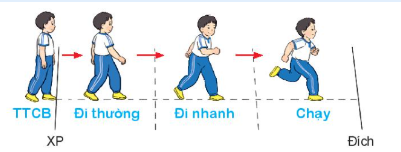 BÀI 3: BÀI TẬP PHỐI HỢP DI CHUYỂN NHANH DẦN THEO VẠCH KẺ THẲNG