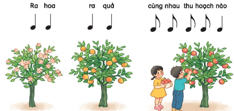 TIẾT 22: ÔN TẬP HÁT VÀ ĐỌC NHẠC VẬN DỤNG – SÁNG TẠO