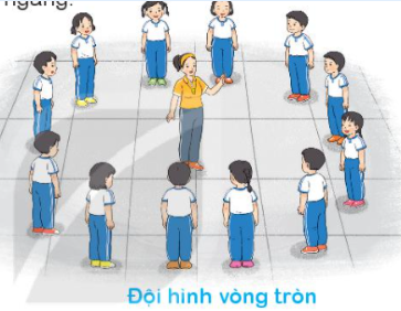 BÀI 2: CHUYỂN ĐỘNG HÌNH HÀNG NGANGTHÀNH ĐỘI HÌNH VÒNG TRÒN VÀ NGƯỢC LẠI