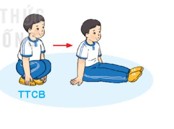 BÀI 5: CÁC ĐỘNG TÁC QUỲ, NGỒI CƠ BẢN