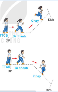 BÀI 4: BÀI TẬP PHỐI HỢP DI CHUYỂ NHANH DẦN THEO VẠCH KẺ SANG TRÁI VÀ SANG PHẢI