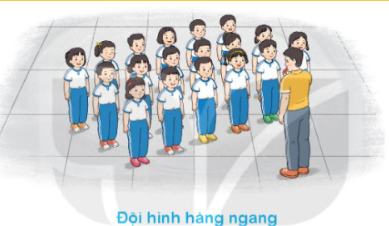 BÀI 2: CHUYỂN ĐỘNG HÌNH HÀNG NGANGTHÀNH ĐỘI HÌNH VÒNG TRÒN VÀ NGƯỢC LẠI