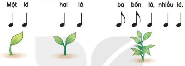 TIẾT 22: ÔN TẬP HÁT VÀ ĐỌC NHẠC VẬN DỤNG – SÁNG TẠO