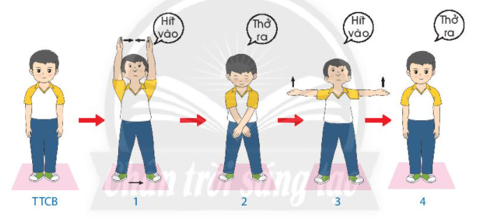 CHỦ ĐỀ: BÀI TẬP THỂ DỤCBÀI 1: ĐỘNG TÁC VƯƠN THỞ VÀ ĐỘNG TÁC TAY ( 1 TIẾT)