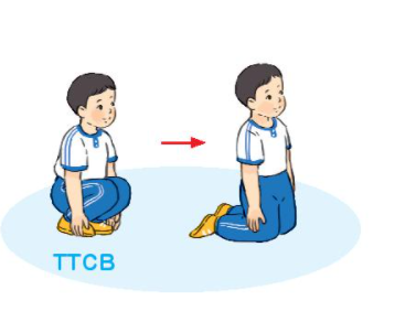 BÀI 5: CÁC ĐỘNG TÁC QUỲ, NGỒI CƠ BẢN