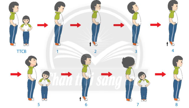 CHỦ ĐỀ: THỂ DỤC NHỊP ĐIỆUBÀI 1: CÁC TƯ THẾ ĐẦU CỔ KẾT HỢP CHÂN CƠ BẢN ( 4 TIẾT)