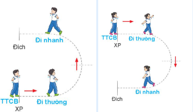 BÀI 4: BÀI TẬP PHỐI HỢP DI CHUYỂ NHANH DẦN THEO VẠCH KẺ SANG TRÁI VÀ SANG PHẢI