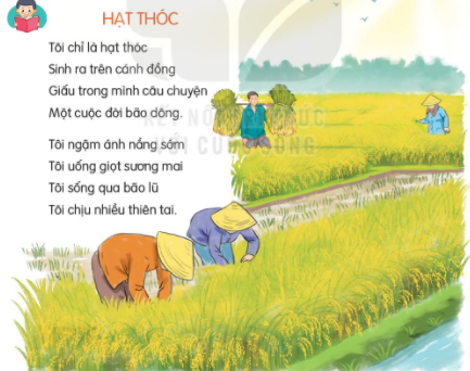 BÀI 7: HẠT THÓC (4 tiết)