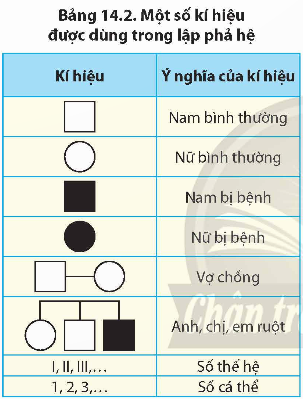 BÀI 14: DI TRUYỀN HỌC NGƯỜI