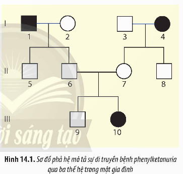 BÀI 14: DI TRUYỀN HỌC NGƯỜI