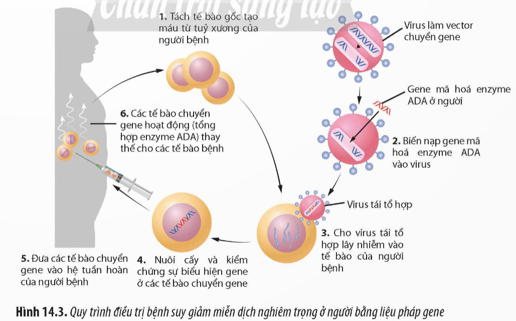 ÔN TẬP CHƯƠNG 3