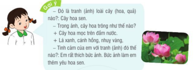 LUYỆN NÓI VÀ NGHE: QUAN SÁT TRANH ẢNH CÂY, HOA, QUẢ(1 tiết)