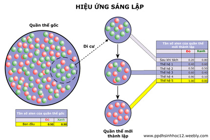 BÀI 17: THUYẾT TIẾN HÓA TỔNG HỢP HIỆN ĐẠI