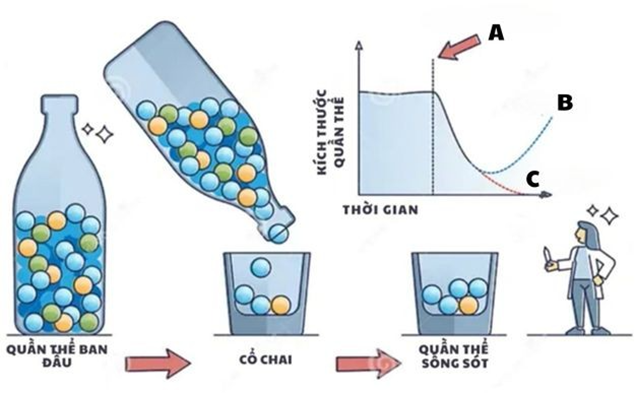 BÀI 17: THUYẾT TIẾN HÓA TỔNG HỢP HIỆN ĐẠI