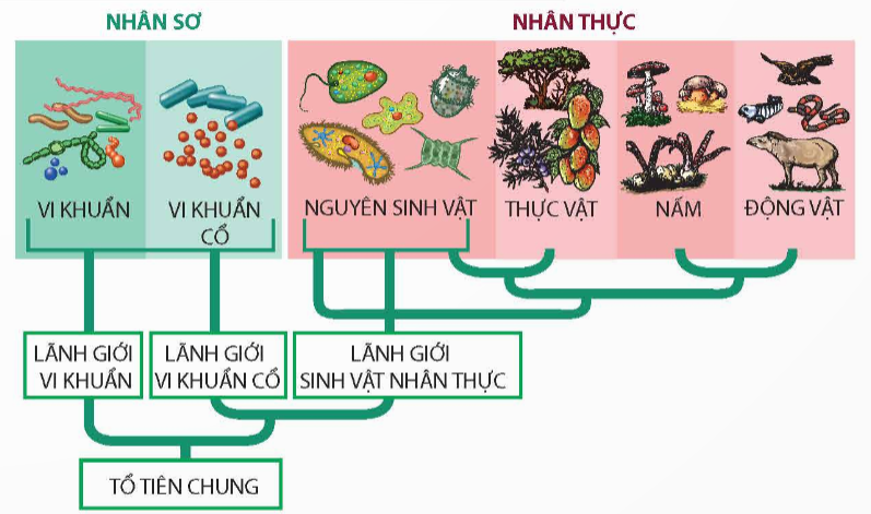 ÔN TẬP CHƯƠNG 4