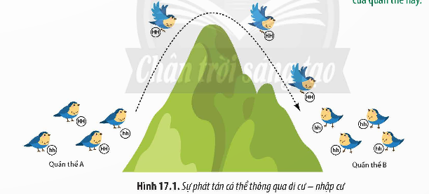 BÀI 17: THUYẾT TIẾN HÓA TỔNG HỢP HIỆN ĐẠI