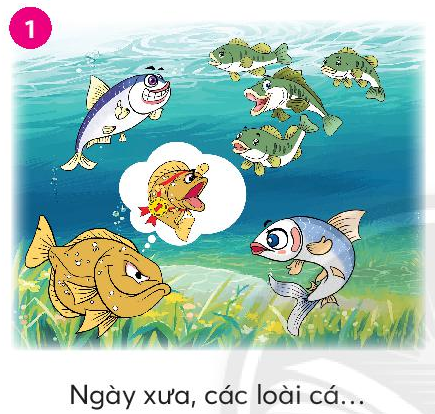 BÀI 4: HOA MAI VÀNG (Tiết 15 – 20)