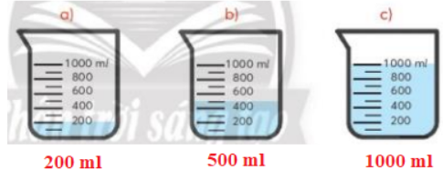 BÀI: MI – LI – LÍT