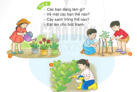 VIẾT VỀ HOẠT ĐỘNG CHĂM SÓC CÂY XANH(1 tiết)