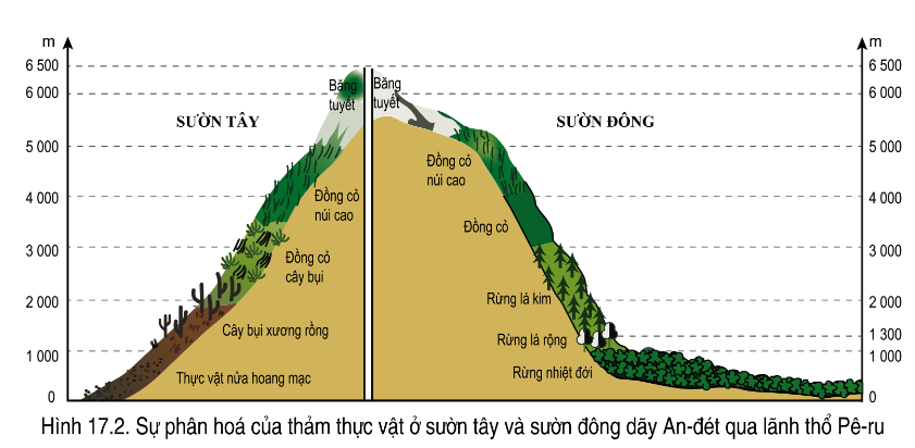 PHIẾU HỌC TẬP 1BÀI 17: ĐẶC ĐIỂM TỰ NHIÊN TRUNG VÀ NAM MỸ1. Sự phân hóa thiên nhiên Trung và Nam Mỹ theo chiều Đông - Tây chủ yếu do yếu tố nào quyết định?A. Khí hậuB. Địa hìnhC. Thủy vănD. Thảm thực vật2. Mô tả đặc điểm của thiên nhiên ở phía Đông và phía Tây Trung và Nam Mỹ.Phía đôngPhía Tây................................................................. ................................................................. ...........................................................................................................................................................................................................................................................3. Sự phân hóa tự nhiên theo chiều bắc - nam ở Trung và Nam Mỹ chủ yếu ảnh hưởng đến:A. Địa hìnhB. Khí hậuC. Nguồn nướcD. Tài nguyên khoáng sản4. Nêu rõ sự khác biệt về khí hậu và thảm thực vật từ Bắc xuống Nam của khu vực này.....................................................................................................................................................................................................................................................................................................................................................................................................................................................................................................................................................PHIẾU HỌC TẬP 2